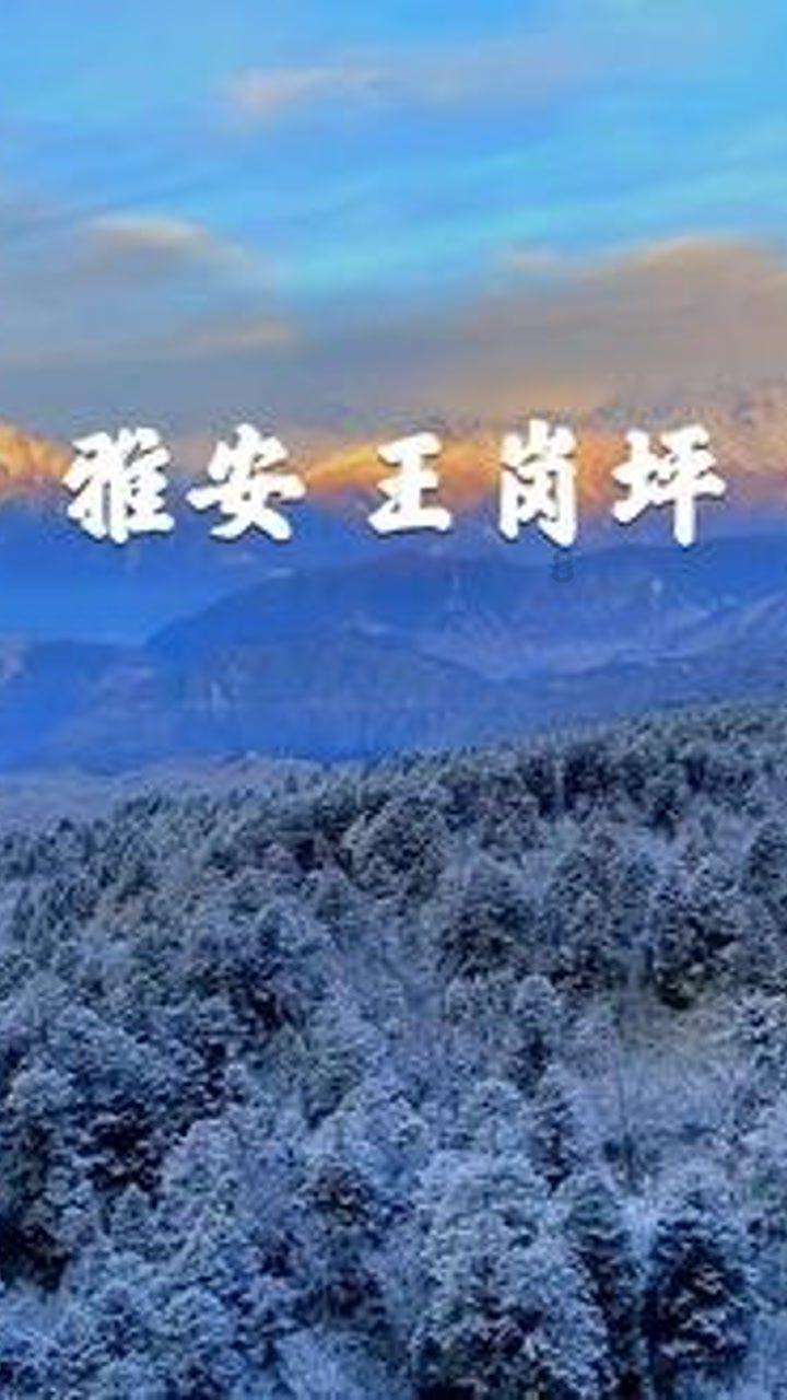 时间教授