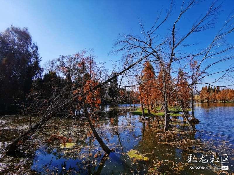 司马懿认为城中不空的原因是什么游戏画面